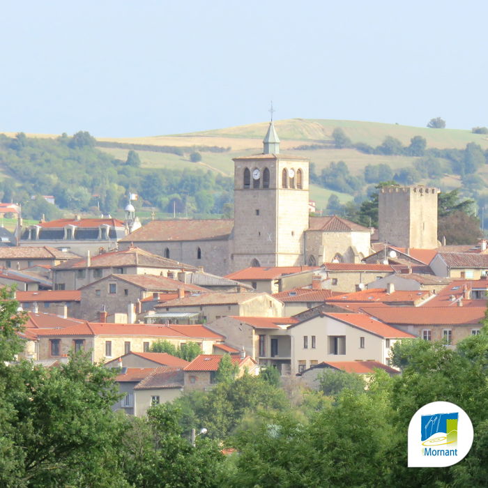 Mairie de Mornant