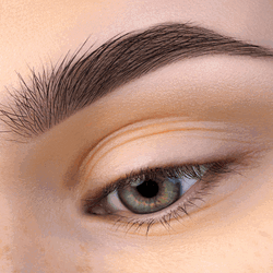 Coloration sourcils