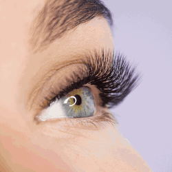 Coloration cils