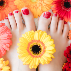 Beauté des pieds complet