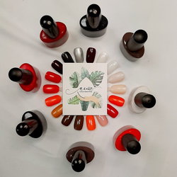 Soin express + vernis semi-permanent mains ou french