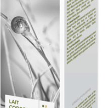 Lait corps