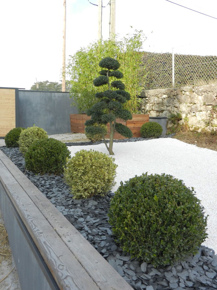 CREATION JARDIN