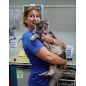 CLINIQUE VETERINAIRE de LA MONTAGNE : photo 3