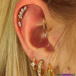 Rook