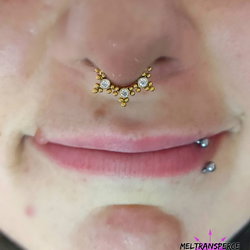 Septum