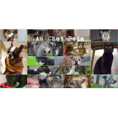 Au Chat Bada