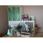 L'Orchidée Zen : photo 3