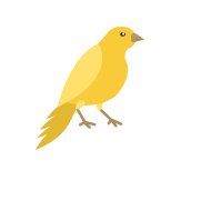 consultation oiseaux