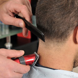 coupe tondeuse