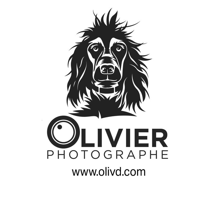 Desaleux Olivier Photographe