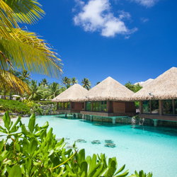 Massage BORA-BORA au MONOÏ