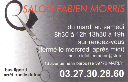 salon fabien morris