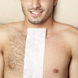 Haut du torse