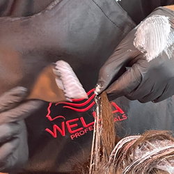 Couleur + Mèches/Balayages + Coupe Femme (Eric)