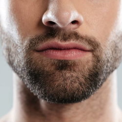 Barbe