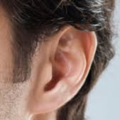 Nez et oreilles