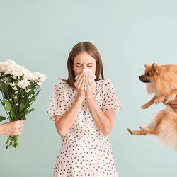 Désensibilisation Allergies