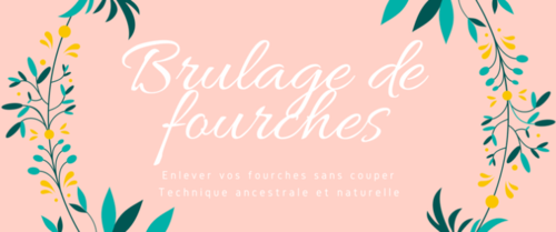 Brulagefourches95