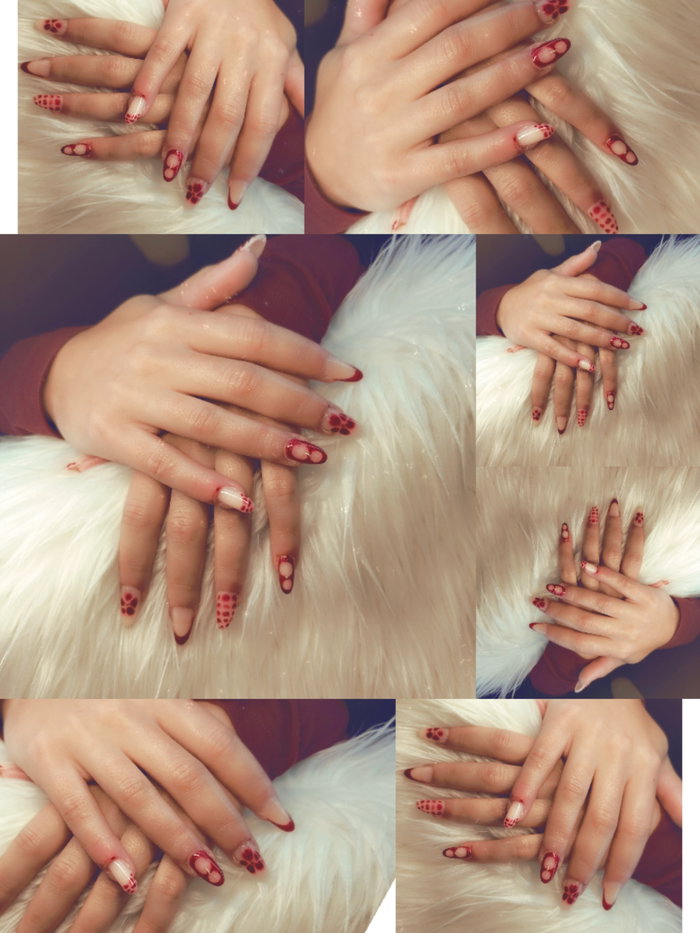 Nolwenn’s Glam : photo 9