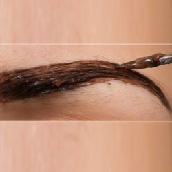 Teinture des sourcils