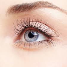 Teinture des cils