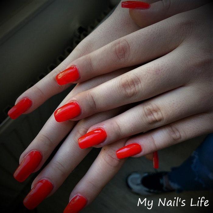 My Nail's Life : photo 9