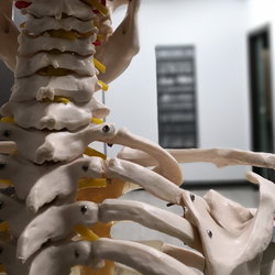 Réservation via https://www.doctolib.fr/osteopathe/meythet/claire-martin-meythet