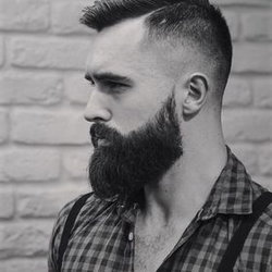 Barbe Longue