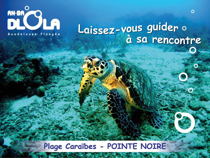 ANBADLOLA GUADELOUPE-PLONGEE : photo 2