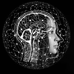 Kinésiologie + Neurofeedback