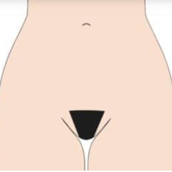 maillot échancré