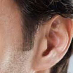 oreilles