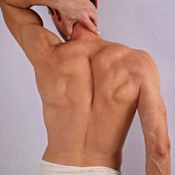 Epilation Dos et Torse